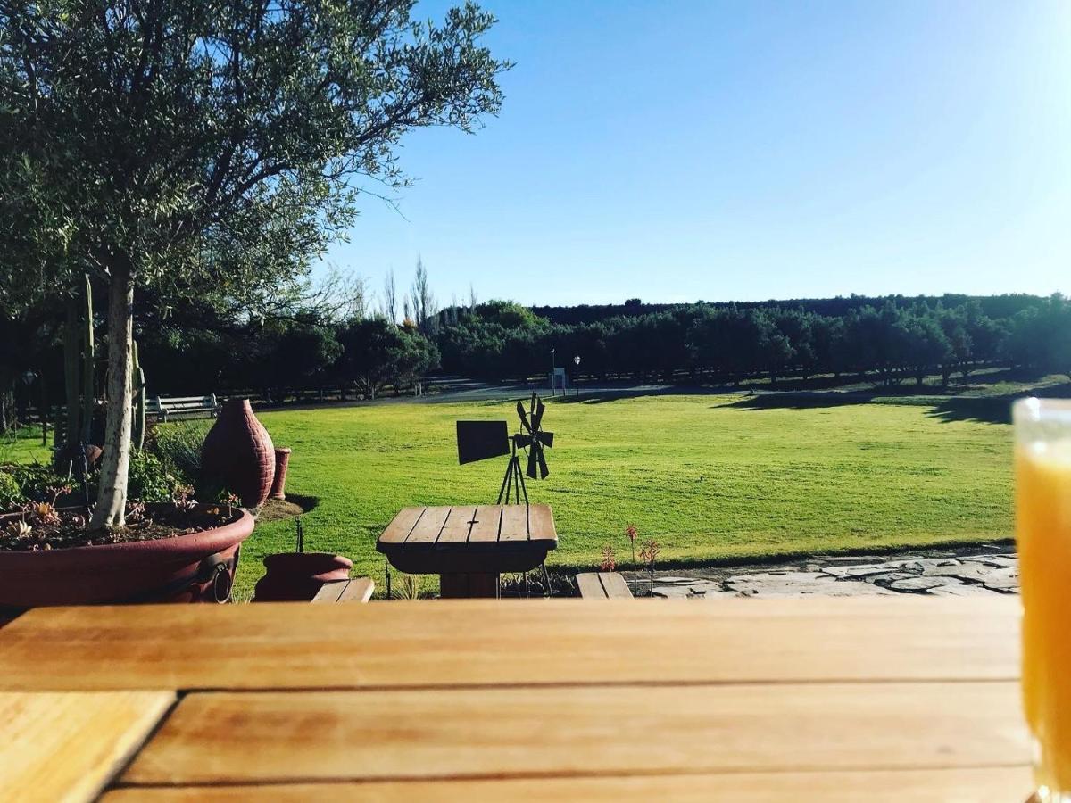 보퍼트웨스트 Olive Grove Guest Farm 빌라 외부 사진
