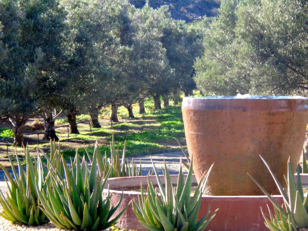 보퍼트웨스트 Olive Grove Guest Farm 빌라 외부 사진